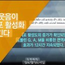 엔돌핀 - 14073 | 엔돌핀