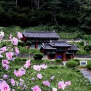 경기도 안성시 삼죽면사무소 이미지