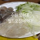 화서 태권도장 | 수원 화서동 오징어횟집 ‘월드오징어바다’ 후기 🦑바질 옮겨심기 &amp; 와사비새우깡까지 일상 모음