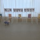 댕댕학당 이미지