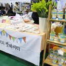 올캣코리아 이미지