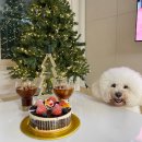 해맞이동물병원 이미지