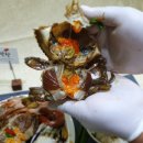 도매시장로 4 네이버블로그