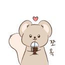 산물19.1 이미지