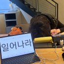 산호어페럴 | 뻘