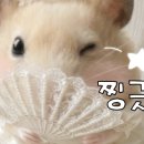 (주)네오비앙 네이버블로그