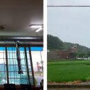 실안장어촌 이미지