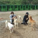 박주원농장 이미지