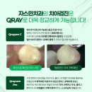 이-푸른치과의원 이미지