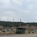 민이식당 | 을왕리 까치놀회식당후기 인천 애견동반 가능 조개구이집