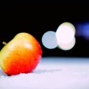 서교동물병원 이미지