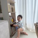 영아농장 | [17개월아기 전집후기] 맥시멀리스트 엄마의 책육아 / 돌전후전집 추천 / 프뢰벨 영아다중,말...