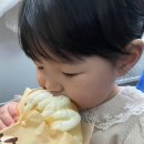 픽녹 | 후하후하