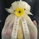 제이라온FLOWER 네이버블로그