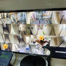 고시원게스트하우스