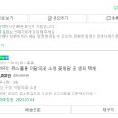 정재농장 네이버블로그