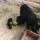 정도농장 이미지