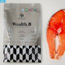 웰스 | 노견사료 추천, 예민한 아이도 잘 먹었던 웰스비 시니어 후기