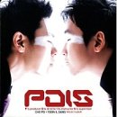 피디아이에스