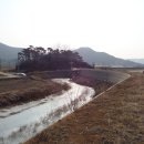 서해황금들녘길 이미지