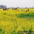 가온누리재가복지센터 이미지