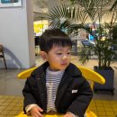 벌말로50번길 | 아이와 가기 좋은 분당 대형 카페 "카페지지" 방문 후기(브런치 맛집 메뉴 추천)