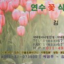 연수꽃식물원 Daum카페