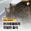 파발로151번길 이미지