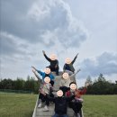 5박6일 5월 암캠프 후기 - 자연의 품에서 찾은 희망