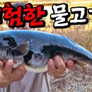 천상의 맛 이미지