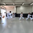 용인대 대륜 태권도 이미지