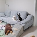 현대자동차우암점 | 일상기록 _ 아빠의 간암, 드레스셀렉, 턱시도대여, 웨딩촬영자율복, 현대자동차, 쿠쿠밥솥, 야외스냅답사