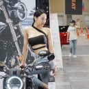 모토오토