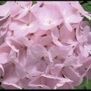 은색농장 이미지