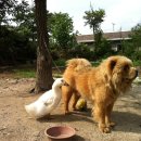 성기 농장 이미지