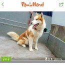 문경가축병원 이미지