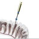 맑은플란트치과의원 이미지