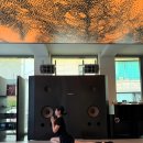 직장인요가 | 직장인 요가 파지티브호텔 요가 선릉 빈야사 수업 후기