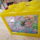 범어초교병설 이미지