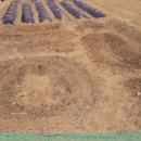 동화어린이집 이미지