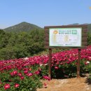 동양허브한의원
