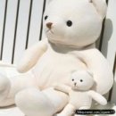 곰돌이 이미지