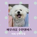 바우라움수원캠퍼스