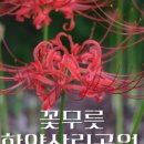 상림플라워