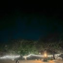 서귀포 클래식 이미지