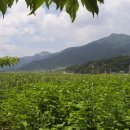 복골농장 이미지