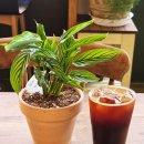 주흥15길 16-1 이미지