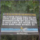 부안변산마실길 이미지