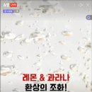 주식회사 클링