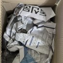 생기곤충농원 | 흰꽃 샤스타데이지모종 추천